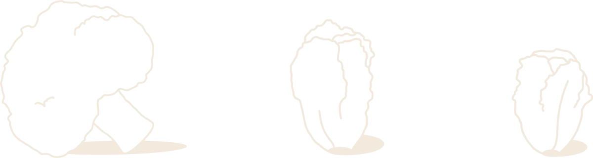 Ilustracion productos